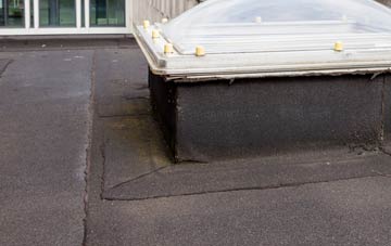 disadvantages of Catfield flat roofs